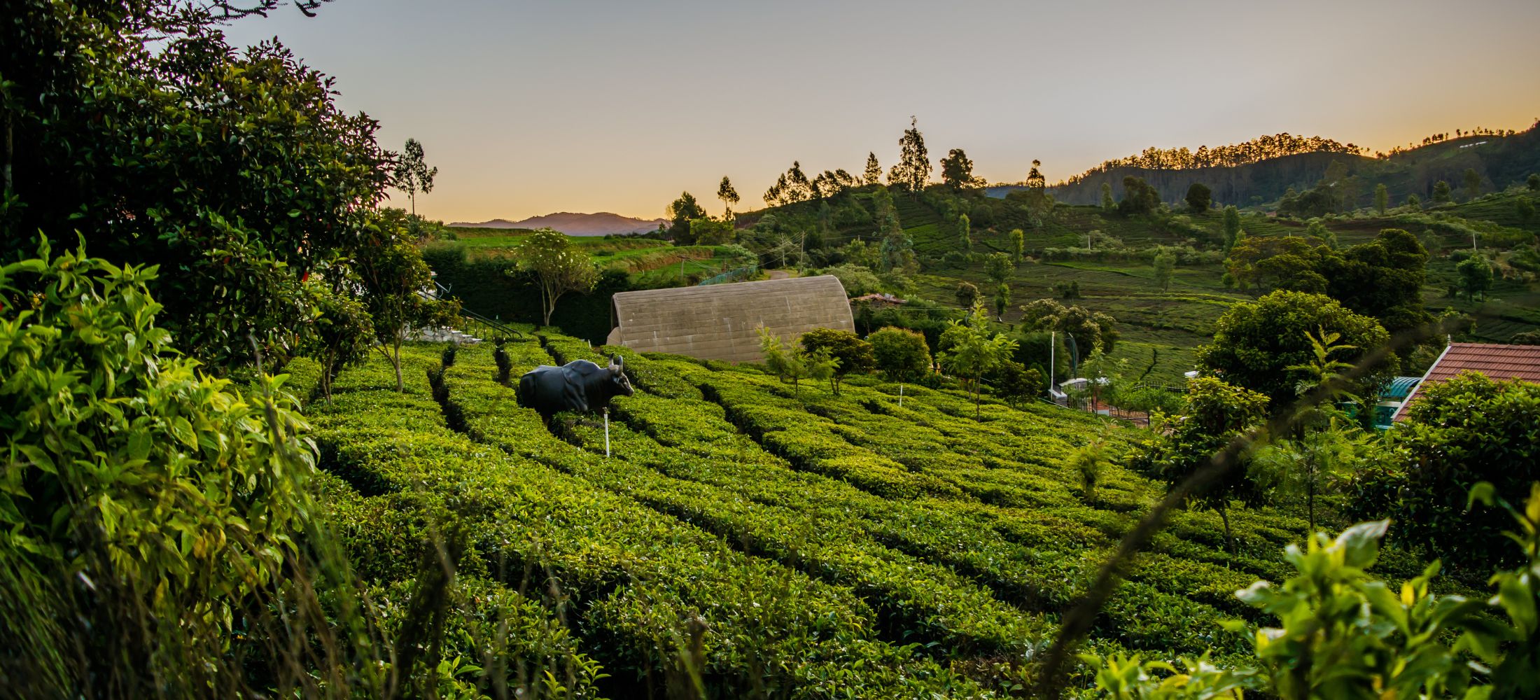 Kodaikanal Hills & Valleys Tour
