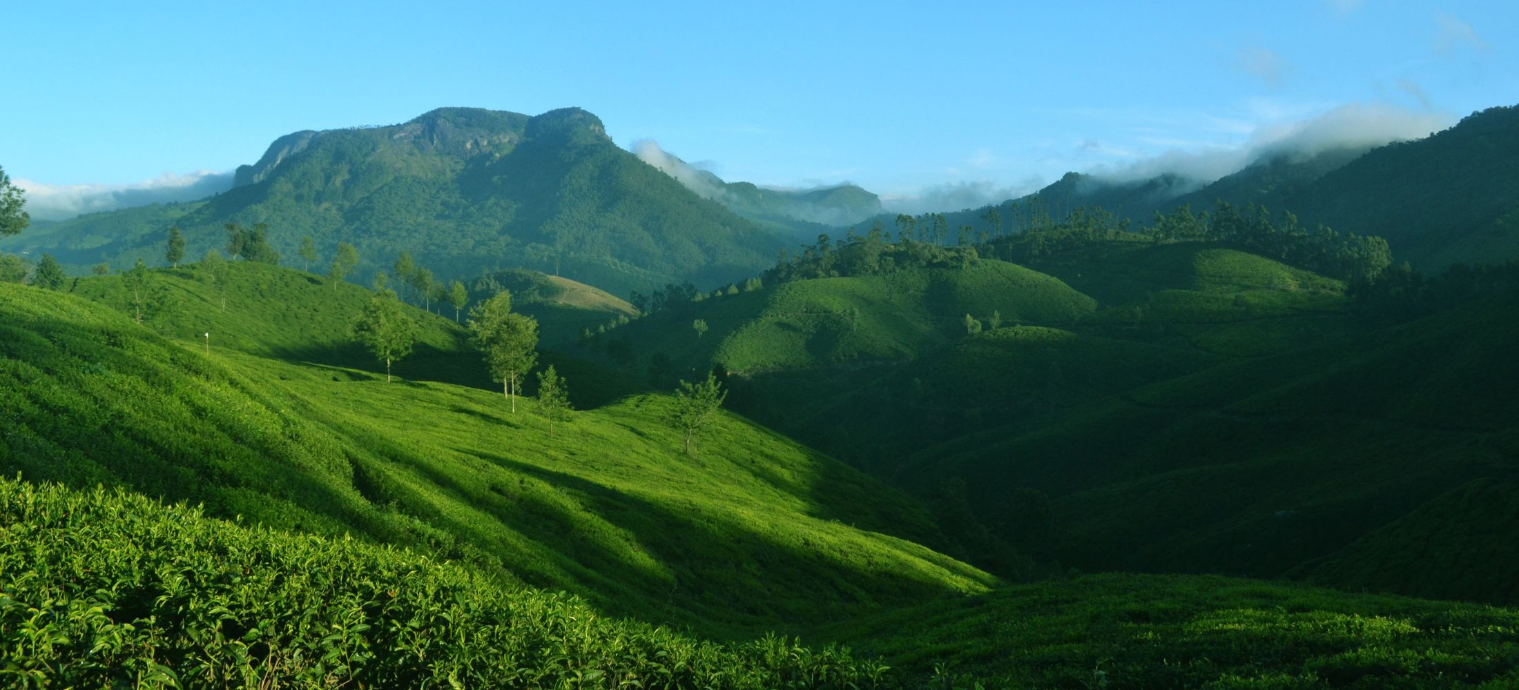 Wild & Water: A Scenic Kerala Circuit