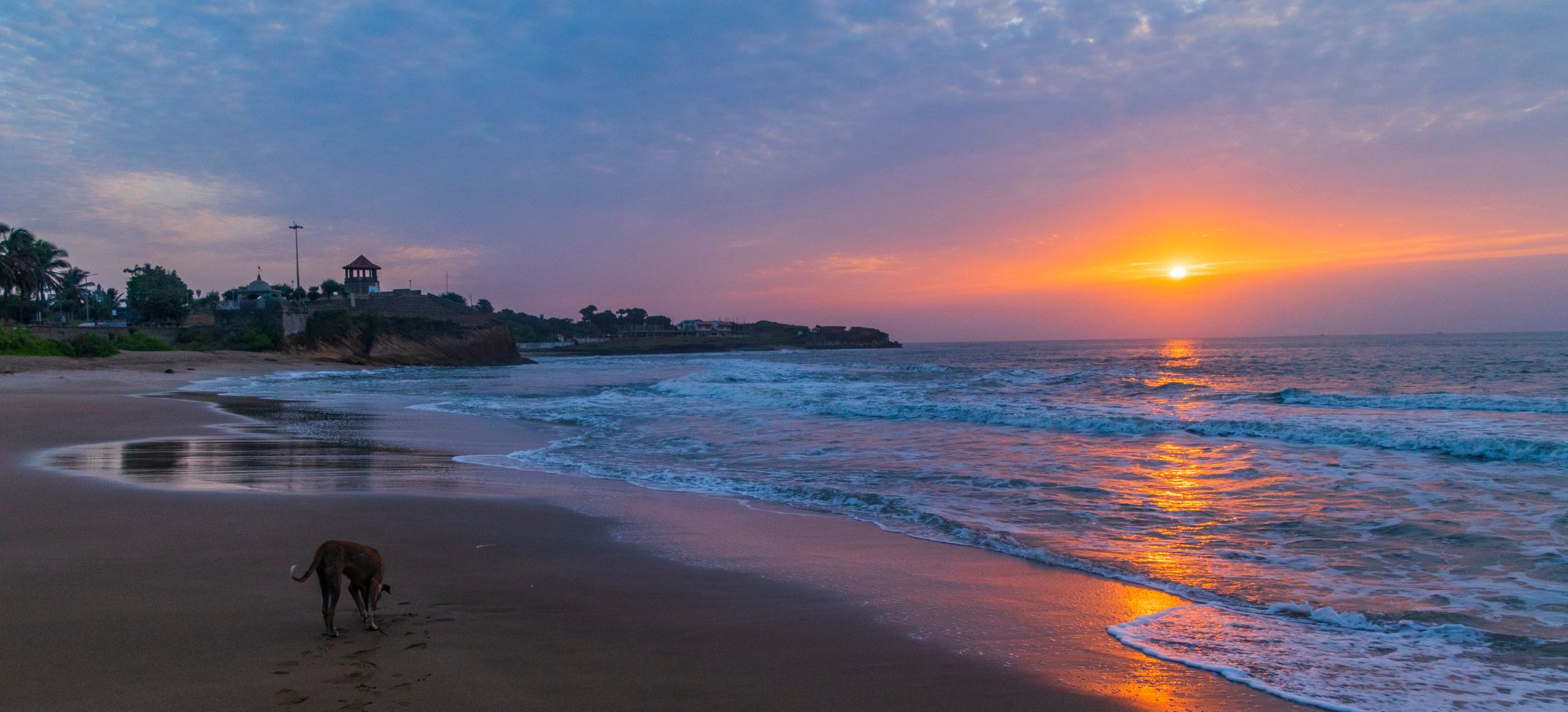 Spiritual Shores & Royal Trails of Gujarat